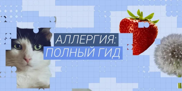 На что может быть аллергия: виды, симптомы и как ее лечить в 2026 году