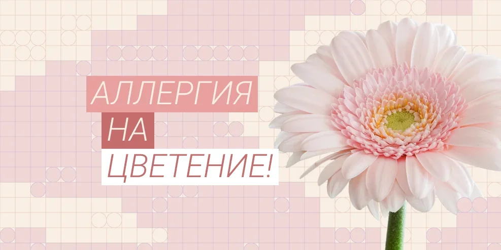 Поллиноз (аллергия на цветение или на пыльцу): как распознать и лечить в 2026 году